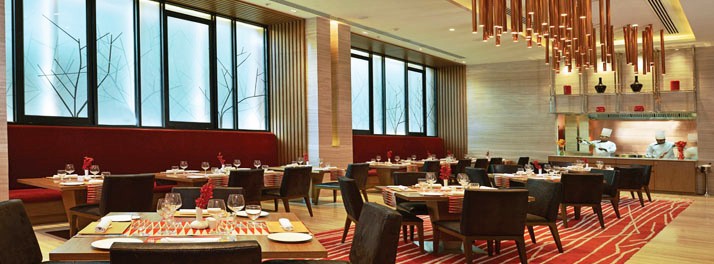 206/My Fortune - Bengaluru 06.jpg